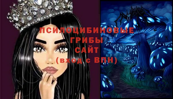 индика Гусь-Хрустальный